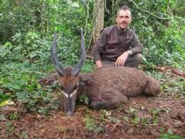 Hunt Sitatunga in Cameroon 5