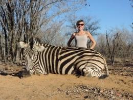 Nice Burchell's Zebra