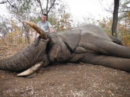 Hunt Elephant in Mozambique 4