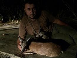 Sharp's Grysbok shot in Mozambique