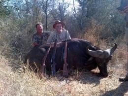 Cape Buffalo Trophy
