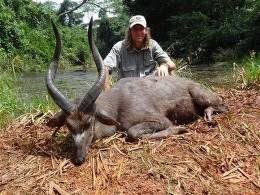 Hunt Sitatunga in Cameroon 3