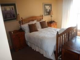 Bushpig Hunt with Hounds 8