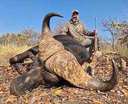 A very nice buffalo trophy!