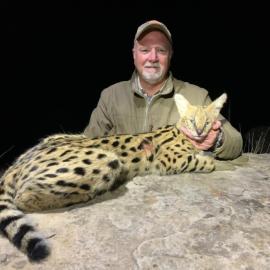 hunt serval in south africa