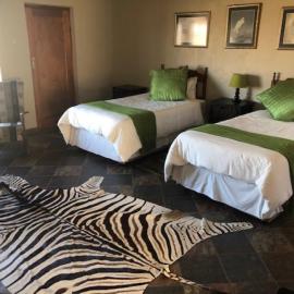 African cat hunt lodge