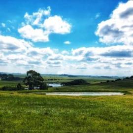 View of pons fron cat hunting lodge