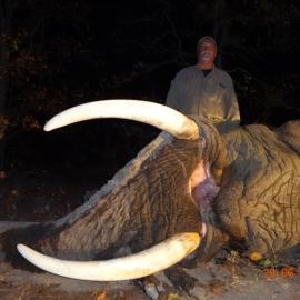 hunt trophy elephant in africa