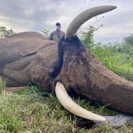 hunt dangerous game in south africa