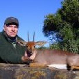 Eastern Cape Hunting Safari Cape Grysbok