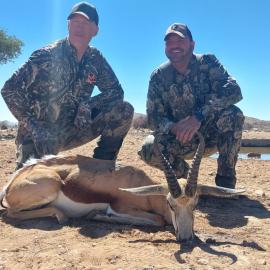 Cull Springbok