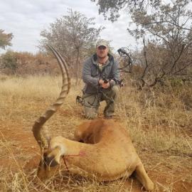 Huge Limpopo Impala