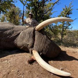 Botswana Trophy Elephant Hunt