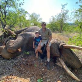 Hunt Elephant in Botswana
