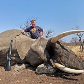 50 pound Trophy Elephant Hunt