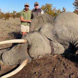 African Elephant Hunt