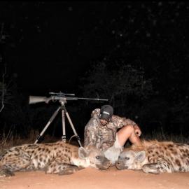 Botswana Spotted Hyena Hunt