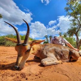 Common Reedbuck trophy