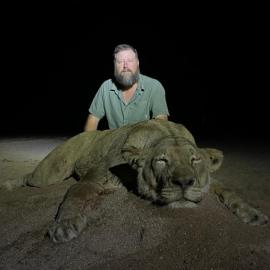 lioness hunting in zimbabwe