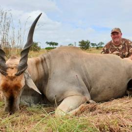 Eland Trophy Hunt in South Africa