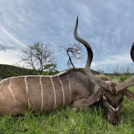 Trophy Hunting in South Africa
