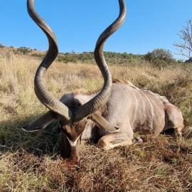 Plains Game Package in South Africa