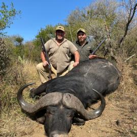 Hunt Trophy Buffalo in South Africa