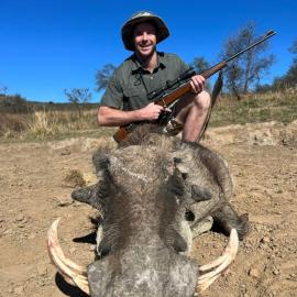 warthog hunt in south africa