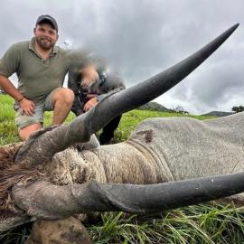 trophy eland hunt in south africa