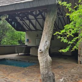 cape buffalo hunting lodge pool