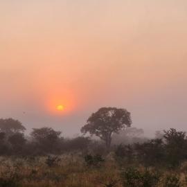 hunting concession for cape buffalo in Africa