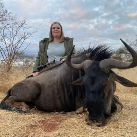 Ultimate Safari Trophy Blue Wildebeest