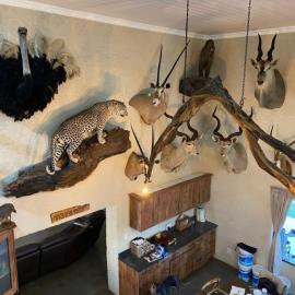 Northern Cape Hunting Lodge Lounge