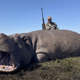 hunting hippo in Africa