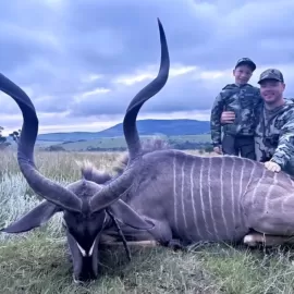 hunt kudu in south africa