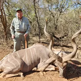 natural free range kudu hunt