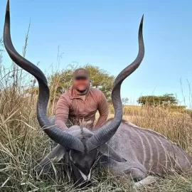 affordable free range kudu hunt