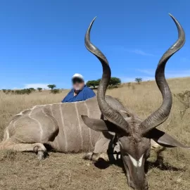 kudu hunting in South Africa