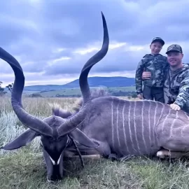 plains game hunting in south africa