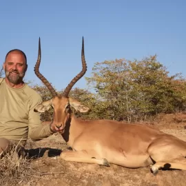 hunt impala in south africa