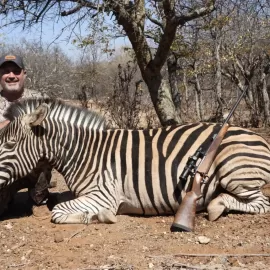 african zebra trophy photo