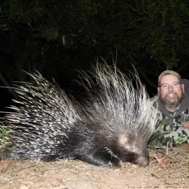 porcupine hunting in africa
