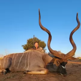 hunting package with free range kudu animals