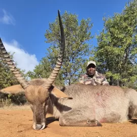 waterbuck trophy photos in south africa