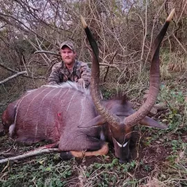 african nyala hunting