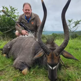 free range nyala hunt
