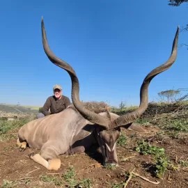 hunting kudu free range