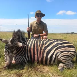 Hunt Zebra in South Africa