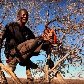 prebaiting for a leopard hunt