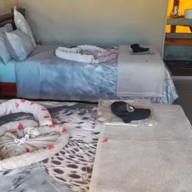Namibia lopard hunt tented camp